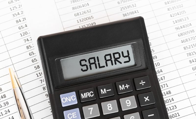 Salary Calculator 2023 - 2024 - Payroll Guide